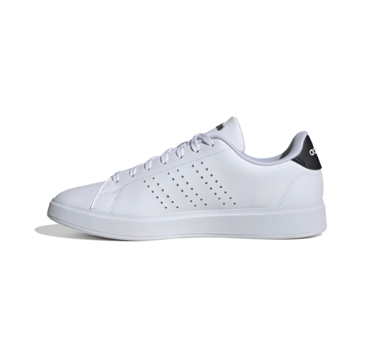 Adidas Advantage